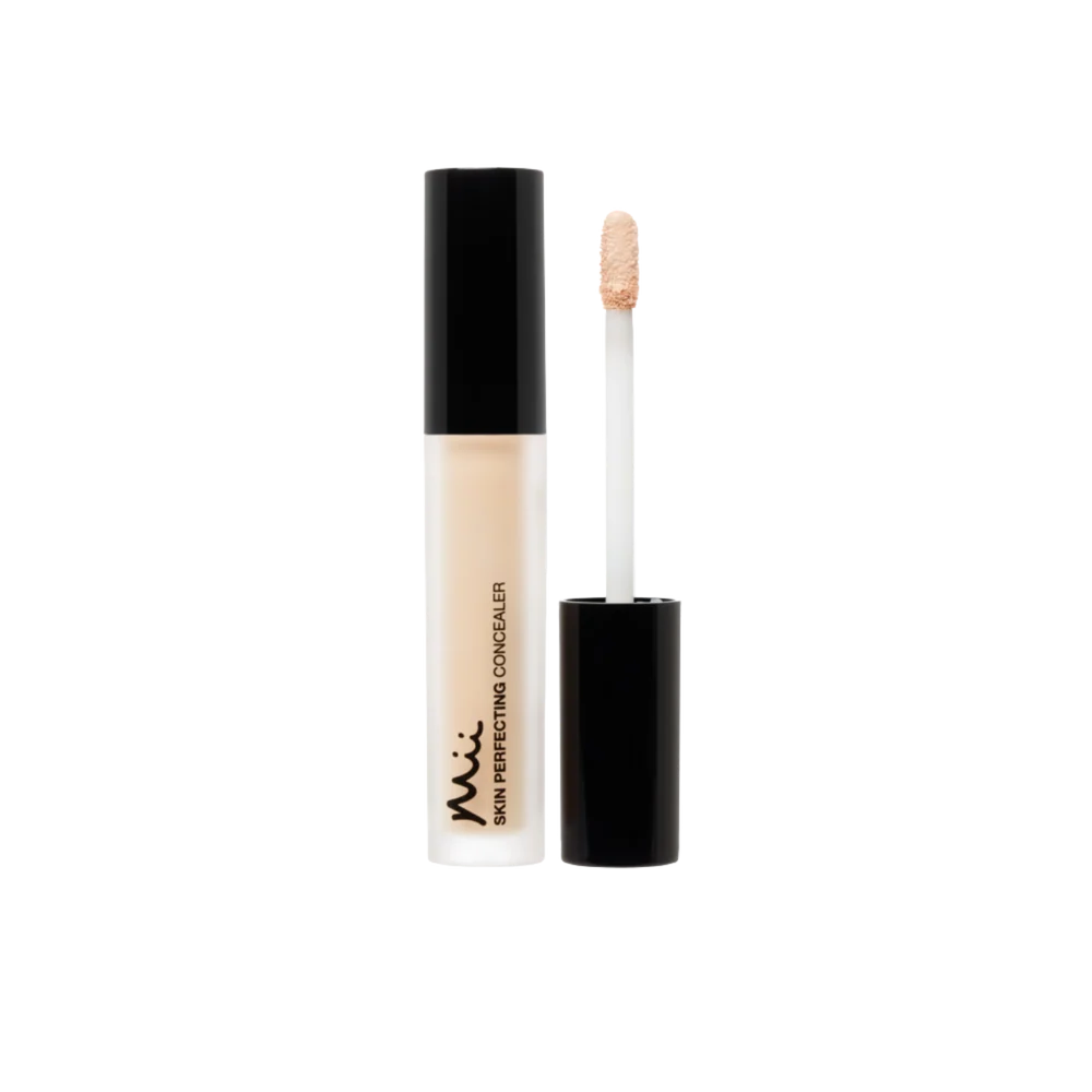 Skin Perfecting Concealer