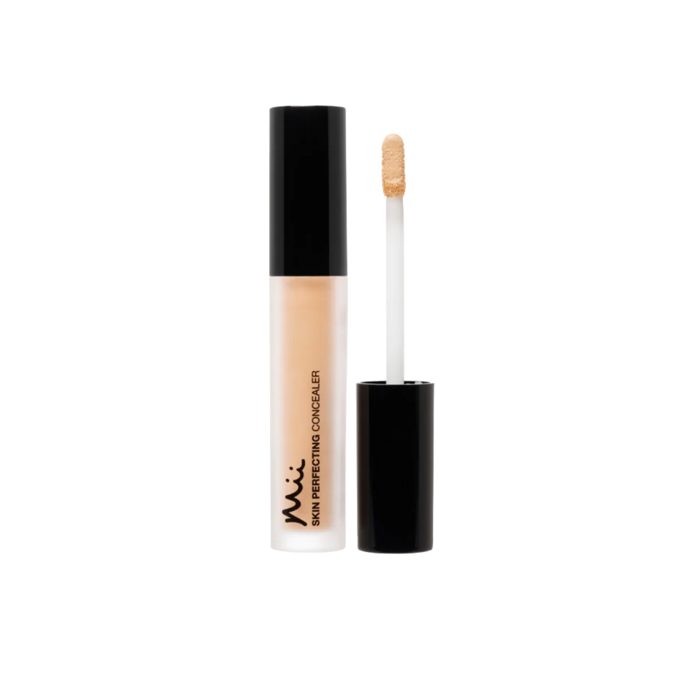 Skin Perfecting Concealer